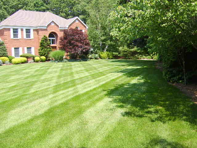 Happy Lawns - KC Landscaping